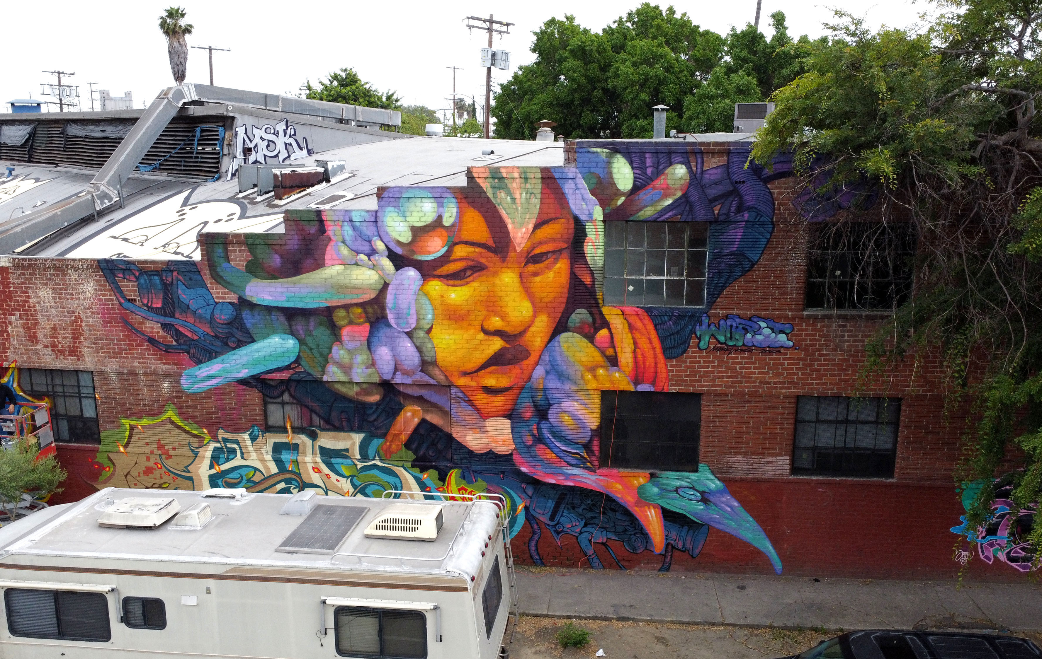 Rooftop mural, aerial view, Mark Worst