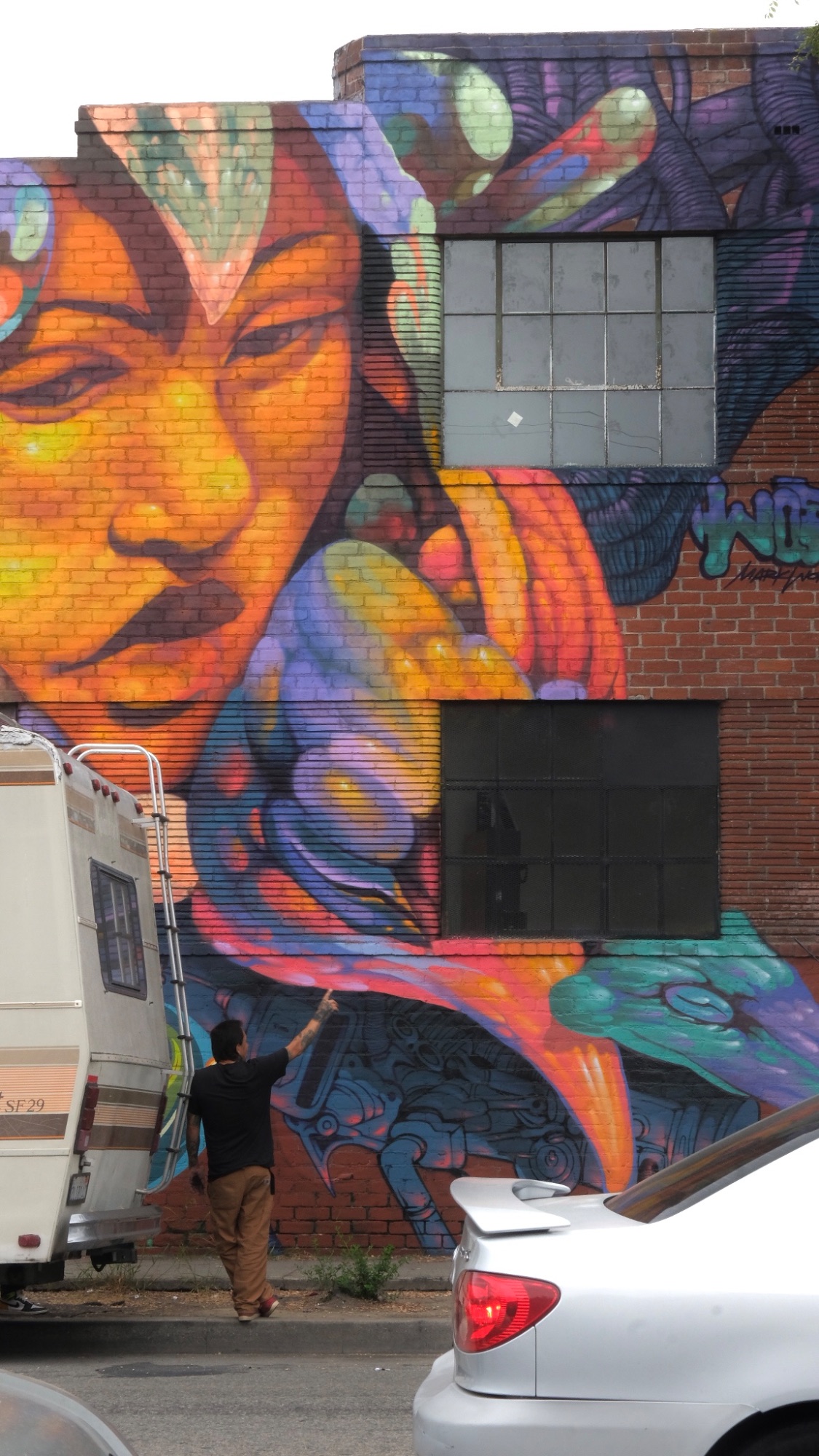 Mural Works by Mark Worst