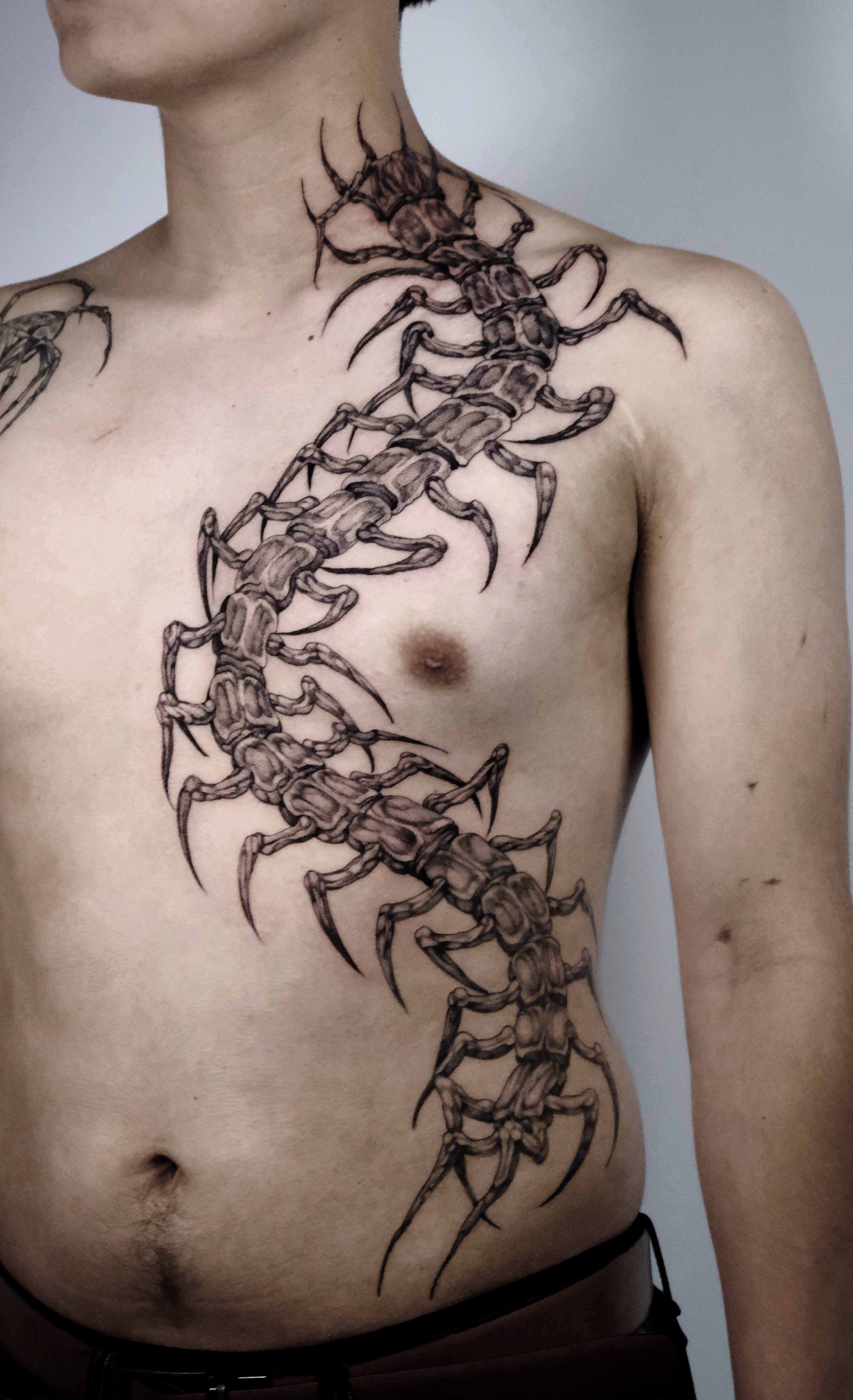 Centipede, Full Piece, Dark Fantasy tattoo by Mark Worst, freehand dark fantasy style, Los Angeles
